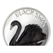  Cook Islands: Black Swan 2 oz Silver 2023 Black Proof Ultra High Relief Coin