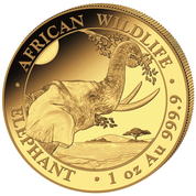 African Wildlife: Somalia Elephant 1 oz Gold 2023