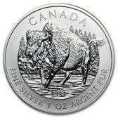 American Buffalo 1 oz Silber 2013