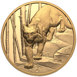 Canada: Great Hunters - Cougar $200 Gold 2024 Proof Ultra High Relief Coin