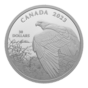 Canada: Vantage Point – Bald Eagle 2 oz Silber 2023 Proof Coin 