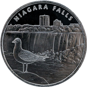 Niagara Falls 1 oz Silber Round