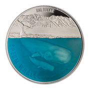 Sperm Whale coloured 1 oz Silber 2018 Proof