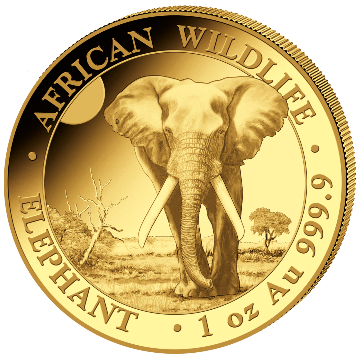 African Wildlife: Somalia Elephant 1 oz Gold 2025