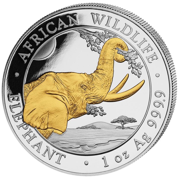 African Wildlife: Somalia Elephant 1 oz Silber 2023 Gilded Coin