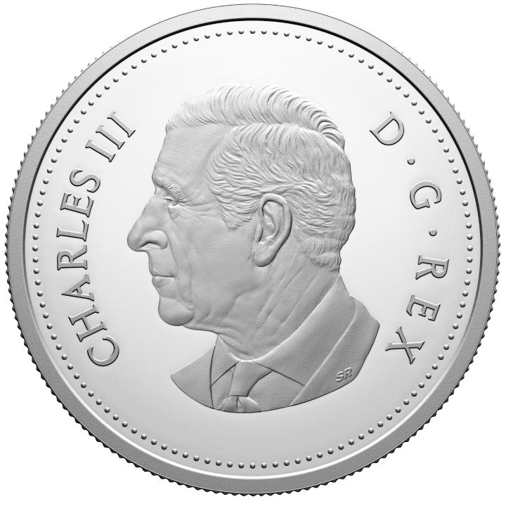 Canada: 100th Anniversary of the Royal Canadian Air Force Dollar Silber 2024 Proof Coin 