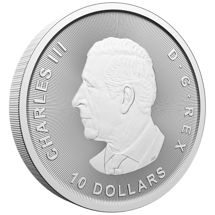 Canada: Goose 2 oz Silber 2025