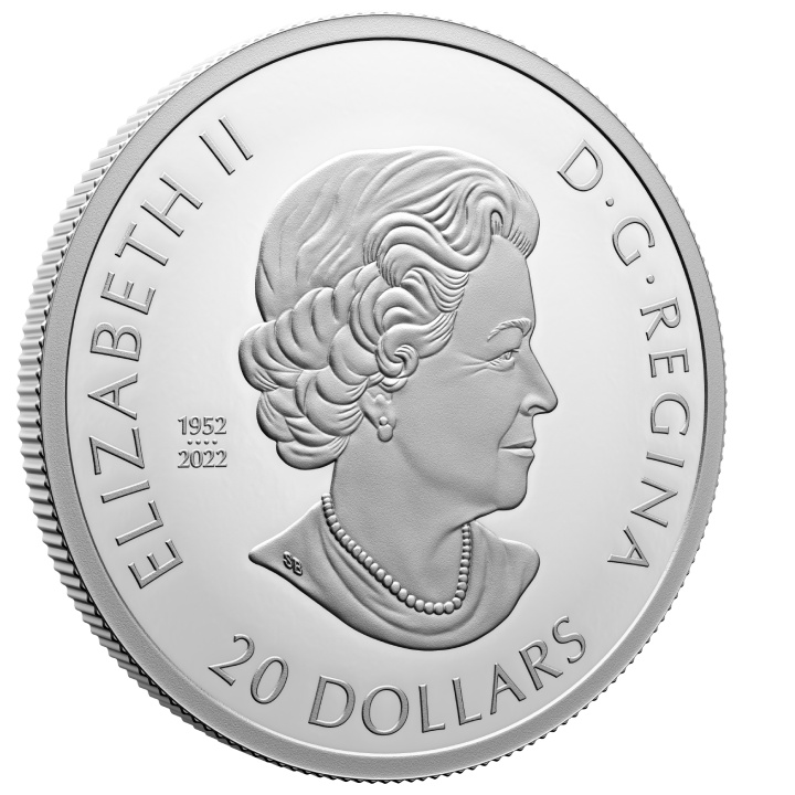 Canada: Remembrance Day coloured $20 Silber 2023 Proof Coin 