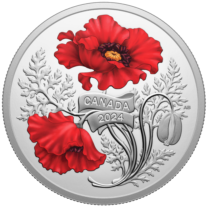 Canada: Remembrance Day coloured $20 Silber 2024 Proof Coin 