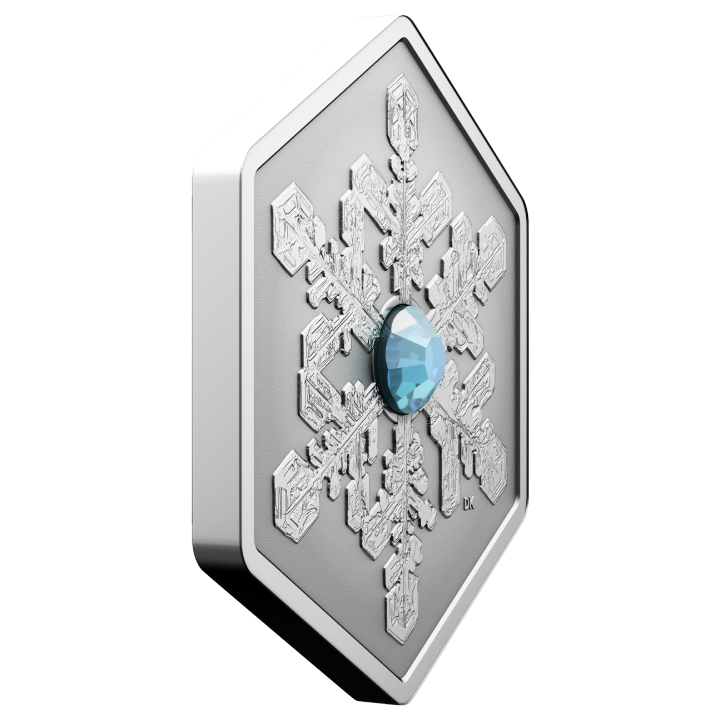 Canada: Snowflake $20 Silber 2024 Reverse Proof 