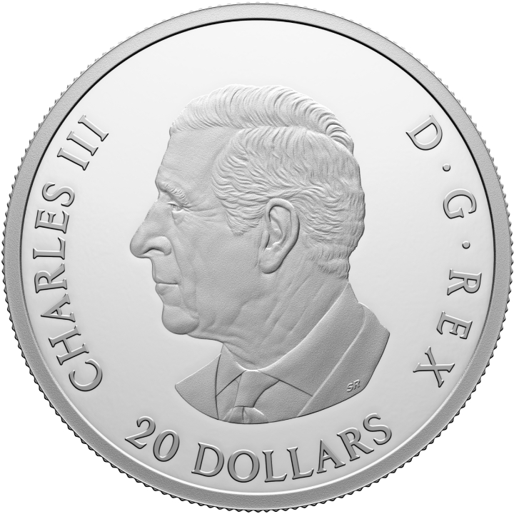 Canada: The Royal Canadian Air Force Centennial $20 Silber 2024 Proof Coin 