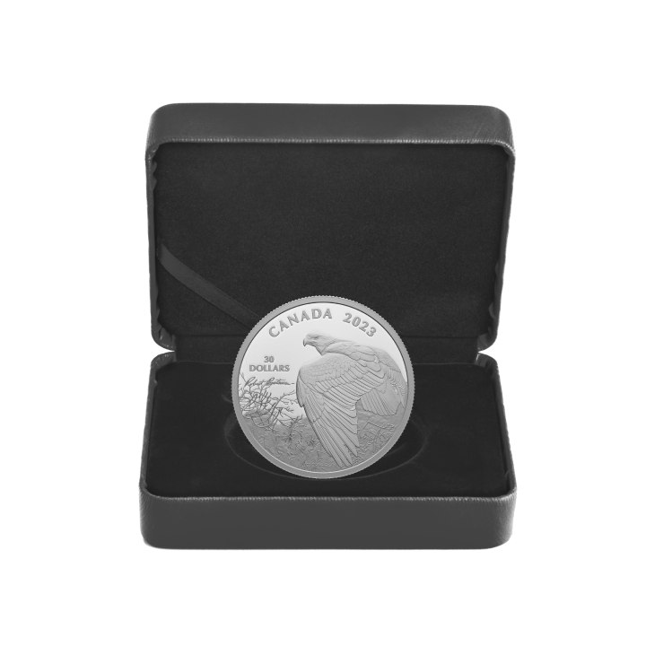 Canada: Vantage Point – Bald Eagle 2 oz Silber 2023 Proof Coin 