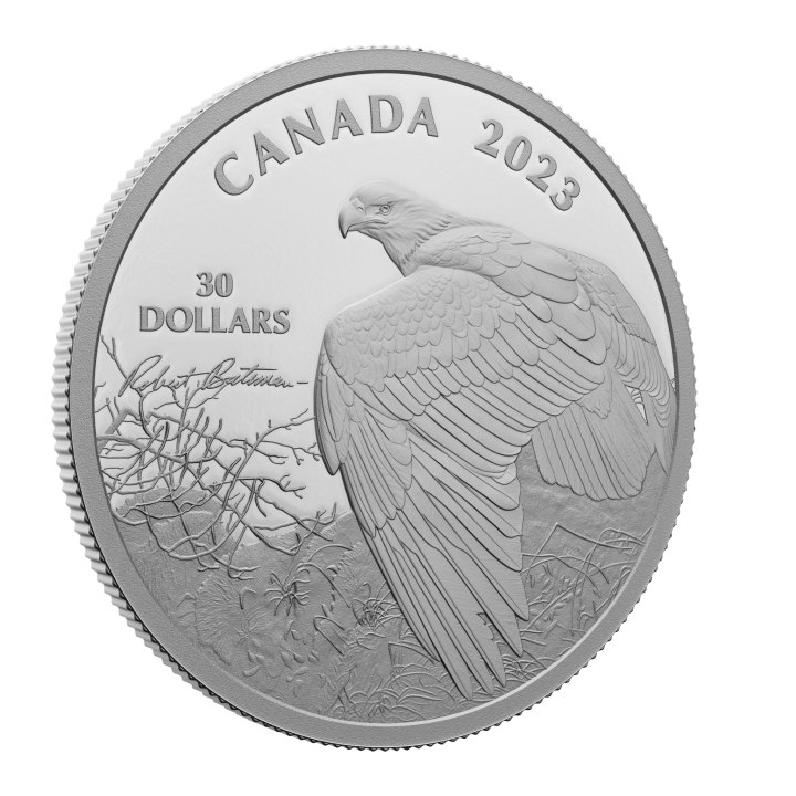 Canada: Vantage Point – Bald Eagle 2 oz Silber 2023 Proof Coin 