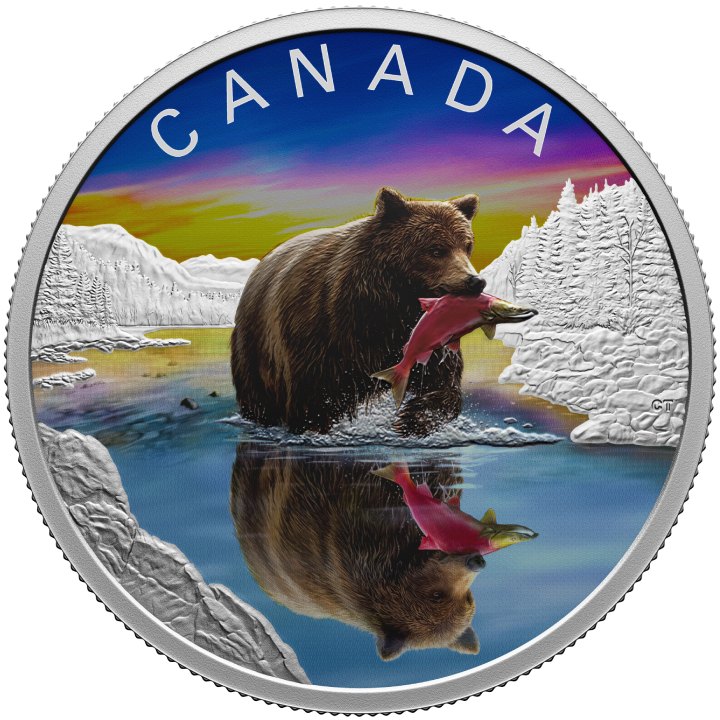 Canada: Wildlife Reflections - Grizzly Bear coloured $20 Silber 2024 Proof Coin 