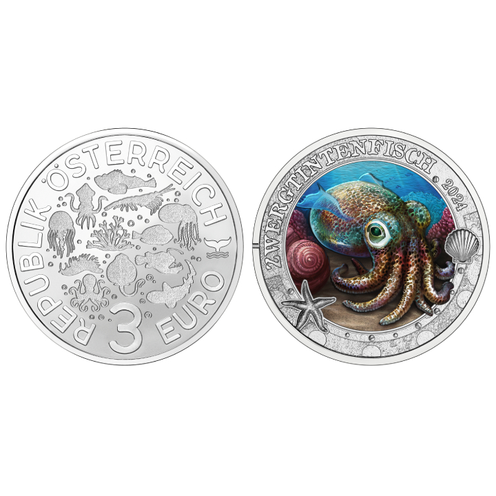 Hawaiian Bobtail Squid coloured 3 Euro Copper 2024