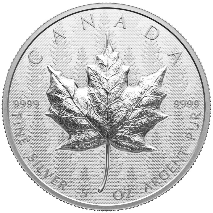 Maple Leaf 5 oz Silber 2024 Reverse Proof Ultra High Relief