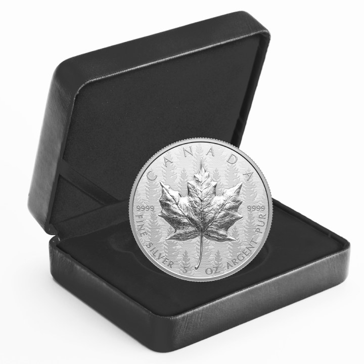 Maple Leaf 5 oz Silber 2024 Reverse Proof Ultra High Relief