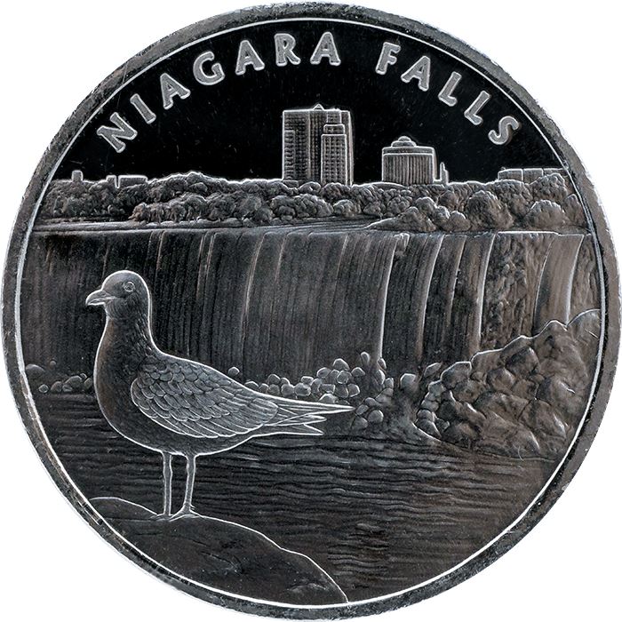 Niagara Falls 1 oz Silber Round