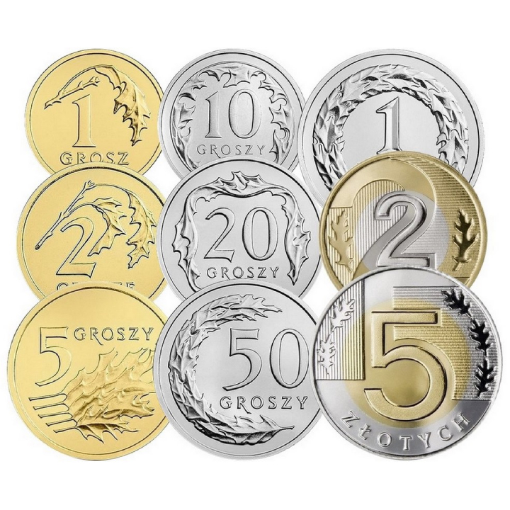 Polish Circulation Coins "Castor Fiber" - Coin Set 1 Grosz - 5 PLN 2019