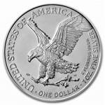 American Eagle 1 oz Silber 2021 art 2 