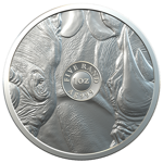 Big Five: Nashorn 1 oz Silber 2020