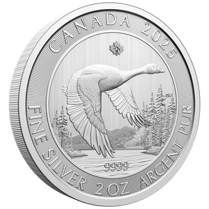 Canada: Goose 2 oz Silber 2025