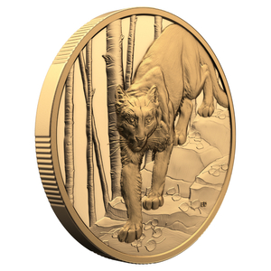 Canada: Great Hunters - Cougar $200 Gold 2024 Proof Ultra High Relief Coin