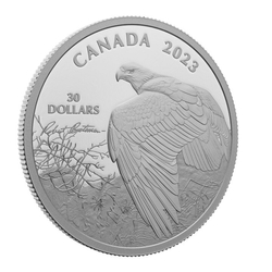 Canada: Vantage Point – Bald Eagle 2 oz Silber 2023 Proof Coin 