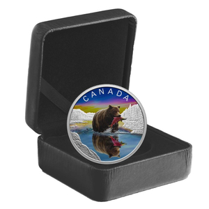 Canada: Wildlife Reflections - Grizzly Bear coloured $20 Silber 2024 Proof Coin 