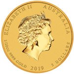 Lunar II: Schweinejahr 1/20 oz Gold 2019