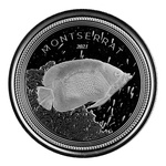 Montserrat Blue Girdled Angelfish 1 oz Silver 2021