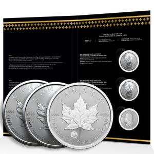 Set mit 3 Canadian Maple Leaf Treasured 3 x 1 oz Silbermünzen 2022, 2023, 2024