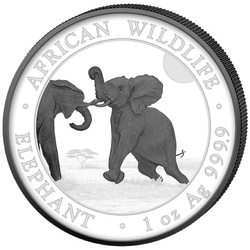 Set of 2 coins African Wildlife: Somalian Elephant "Black & White" coloured  2 x 1 oz Silver 2024