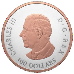 Kanadische Glänzende Maple Leaf 10 oz Silber 2025 Vergoldete Proof-Münze