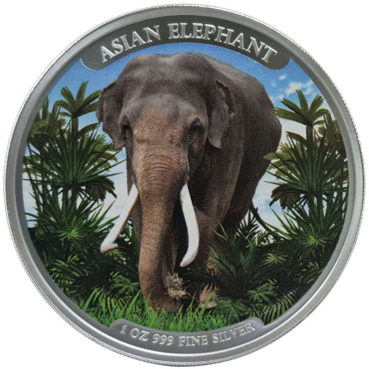 Cambodia: Asian Elephant coloured 1 oz Silver 2023