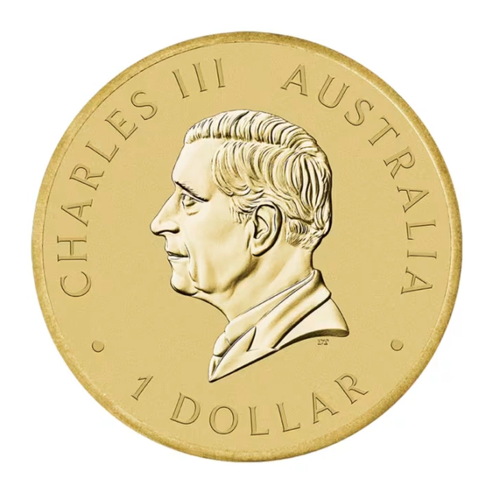 Perth Mint Australia: Australian Citizenship $1 2026 Münze in Karte