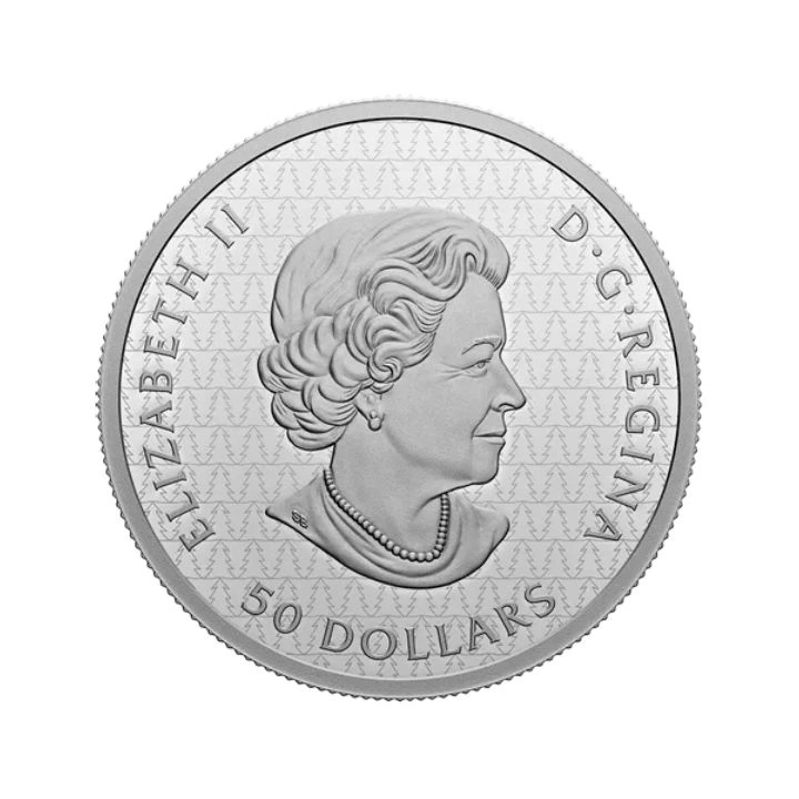 Canada: The Magic of the Season $50 2022 Silver Proof Coin