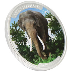 Cambodia: Asian Elephant coloured 1 oz Silver 2023