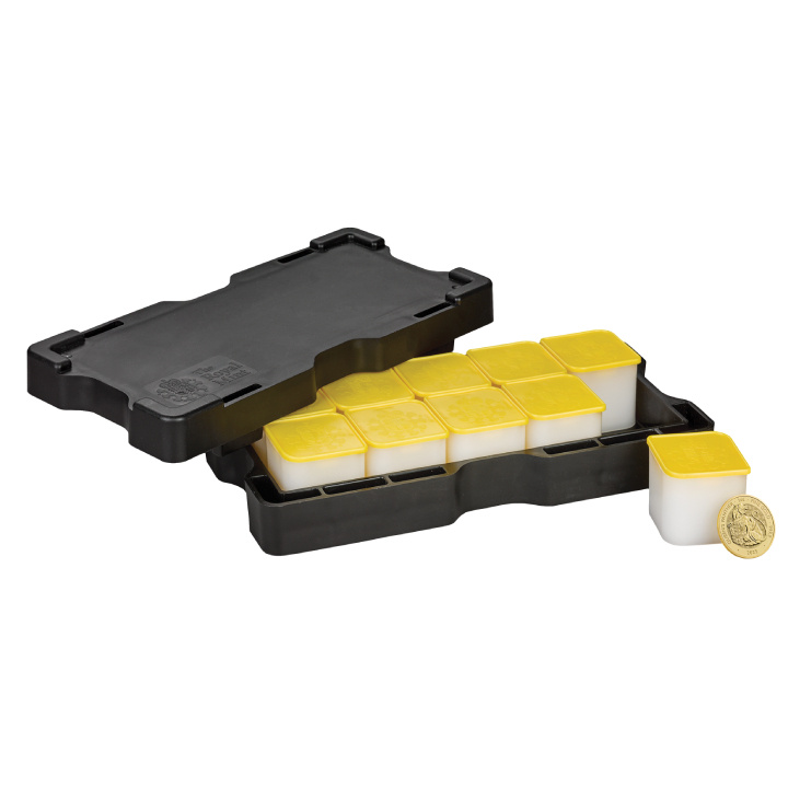 Las bestias reales de los Tudor: La Pantera de la Reina 1 oz Oro 2025