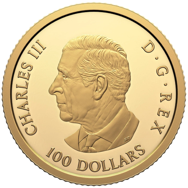 Canadá: Tomb of the Unknown Soldiere 100 $ Oro 2024 Proof