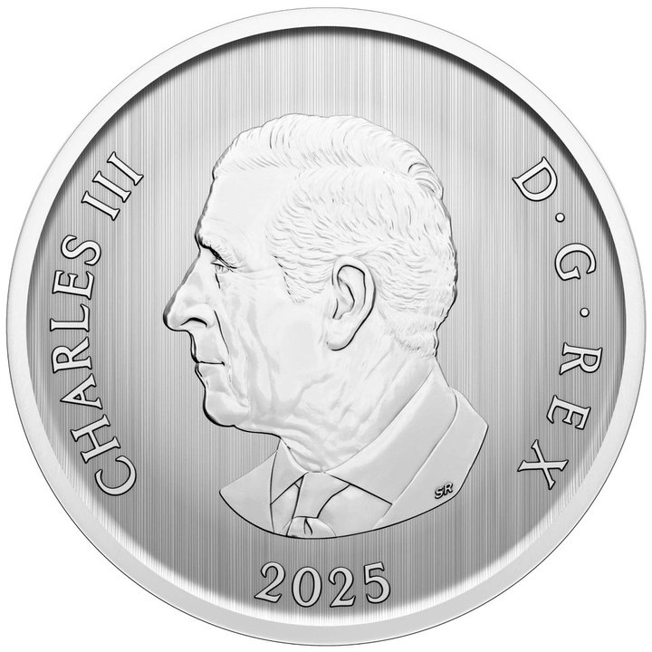 Kanada: Whimsical Holiday Tree koloriert 50 Cents 2025 Specimen Lenticular Coin