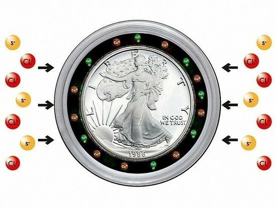 Coin Capsule Leuchtturm Ultra Intercept different sizes