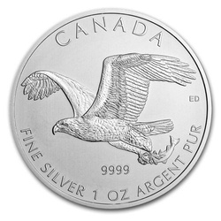Bald Eagle 1 oz Silber 2014