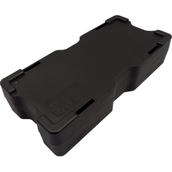 Bestias de la Reina: Mortimers León Blanco 1 oz Platino 2021