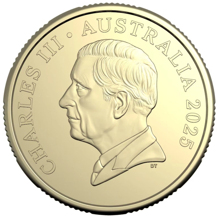 RAM: Bluey Christmas kolorowany 9 g Brązu Aluminiowego 2025