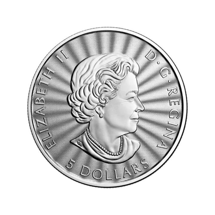 Canada: The Majestic Polar Bear 1 oz Silver 2022 Coin