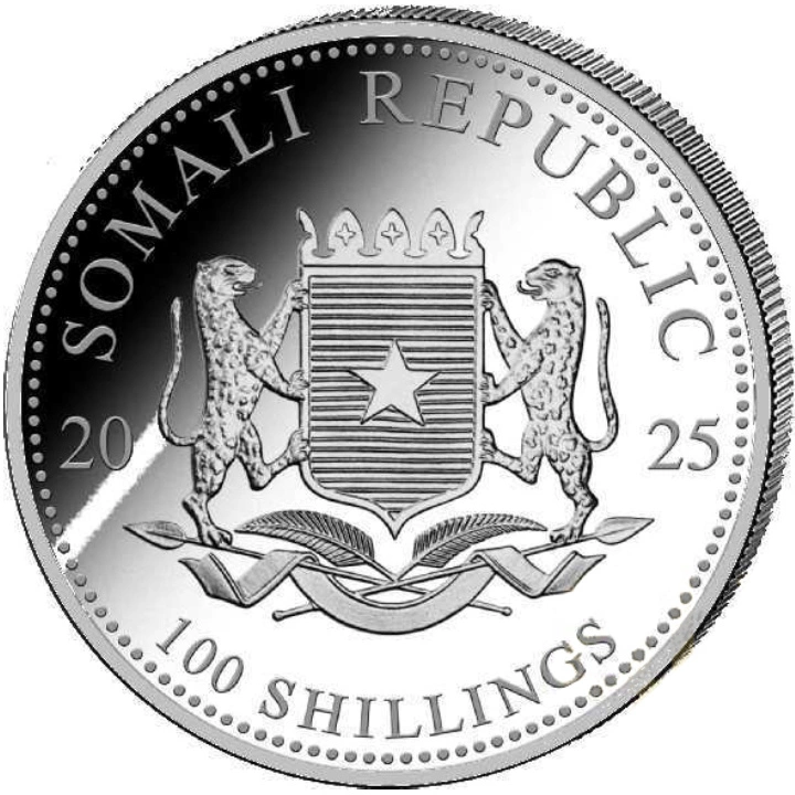 Somalia: Afrikanische Wildtiere - Leopard 1 oz Silber 2025