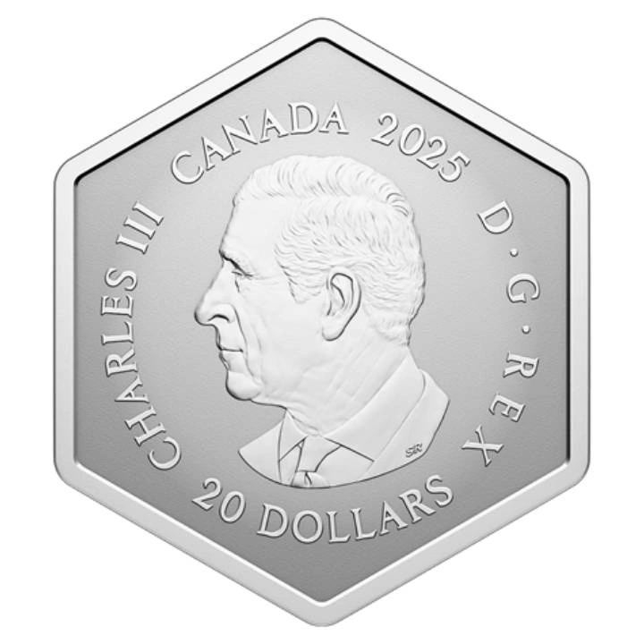 Kanada: Snowflake 1 Unze Silber 2025 Reverse Proof