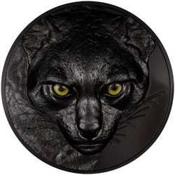Palau: Hunters by Night - Ocelot kolorowany 1000 gramów Srebra 2025 Obsidian Black