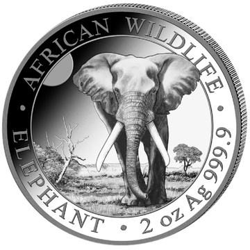 African Wildlife: Słoń Somalijski 2 uncje Srebra 2025